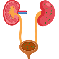 Urinary tract infection